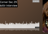 2VR-WgDR interview